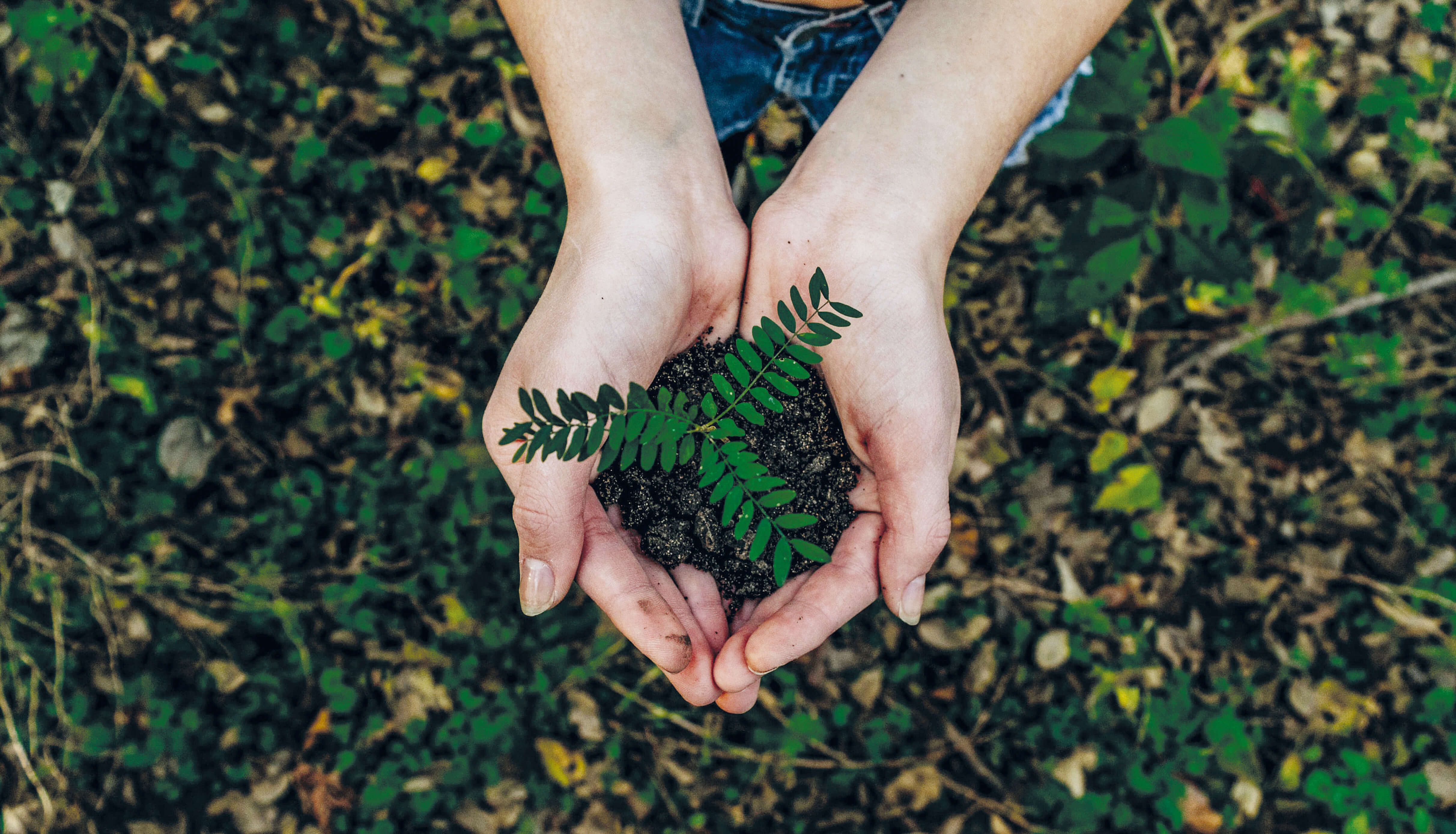 NOAH-BUSCHER-X8ZSTUKS2PM-UNSPLASH